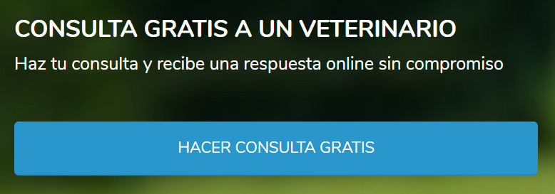 el mejor veterinario cerca de mi ubicación