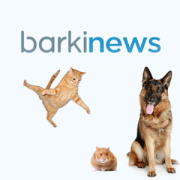 Barkinews