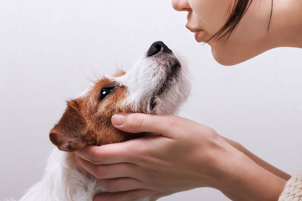 perro vomita saliva y tiene diarrea