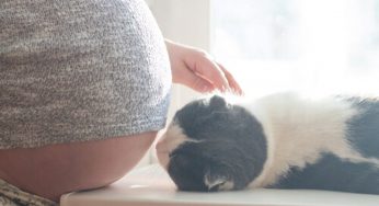 ¿Mi gato puede saber si estoy embarazada? Está raro y algo triste